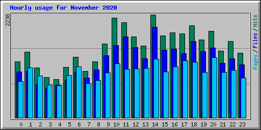 Hourly usage for November 2020